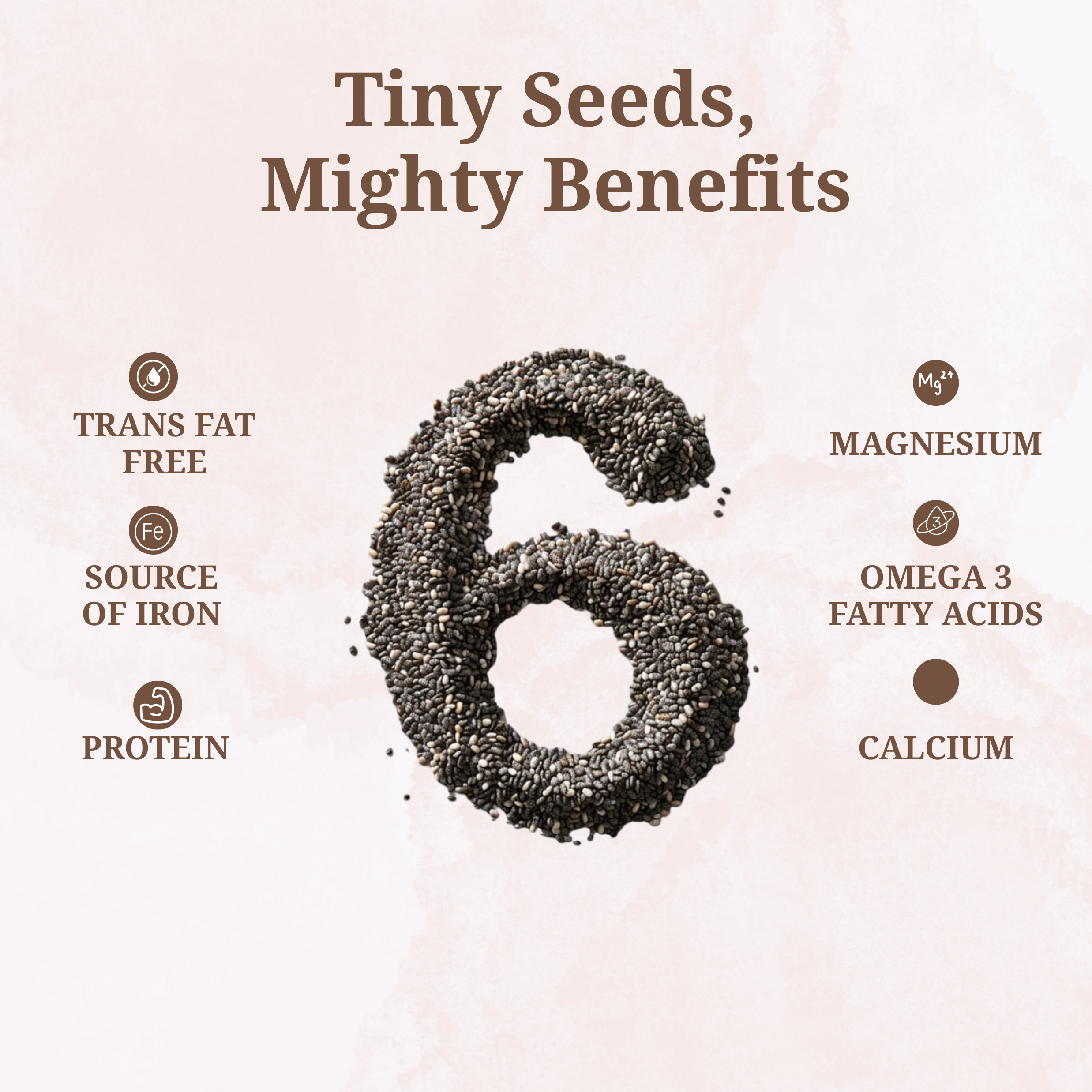 Organic Chia Seeds (500 gm)
